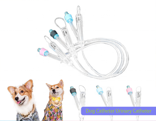 ซื้อ สัตว์ การแพทย์ การรักษากลางน้ํา การแพทย์สัตวแพทย์ การเคลือบซิลิโคน ความละเอียดสูงสุด 2 ทาง ซิลิโคนฟอลลีแคเทเตอร์บริสุทธิ์ การผ่าตัดการส้วมสําหรับสุนัข การผลิตออนไลน์