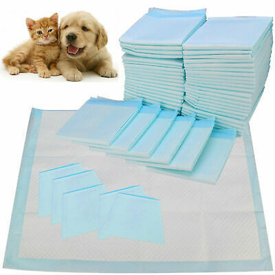 ราคาดี 5ply Quick Absorb Dog Puppy Pads Training Pet Pee Pad 60x90cm แบบใช้แล้วทิ้ง ออนไลน์
