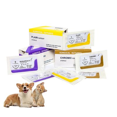 ราคาดี การผ่าตัดโรงพยาบาล ผ้าเย็บแพทย์แบบเรียบ Catgut แบบพัดพริบด้วยเข็ม ออนไลน์