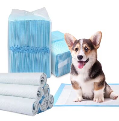 ราคาดี 5-Ply Super Absorbent Pet Training Pad - โรงงานขายยอดขายยอดขาย High Absorbency Puppy Pee Pad กับ SAP และแผ่นหลัง PE กันรั่ว ออนไลน์